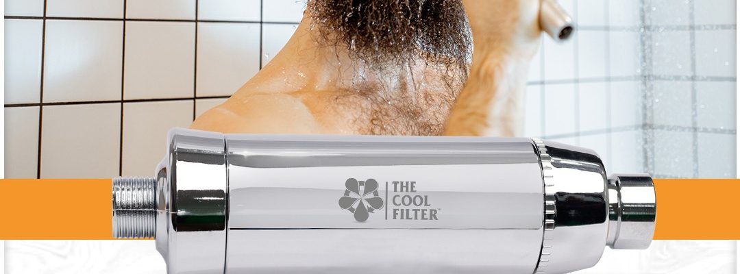 5 Reasons Why Filtered Shower Heads and Shower Filters are Necessary in Dubai